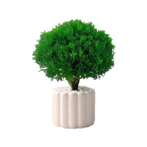 Frosted Pine Green Plant