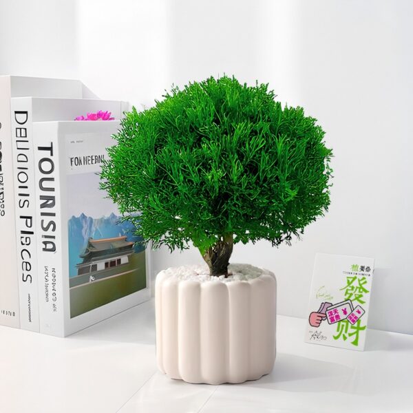 Frosted Pine Green Plant - Image 2