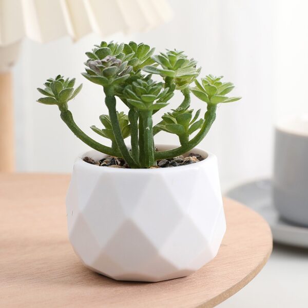 Faux Succulent Plant - Image 2
