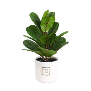 Evergreen Leaf Faux Plant